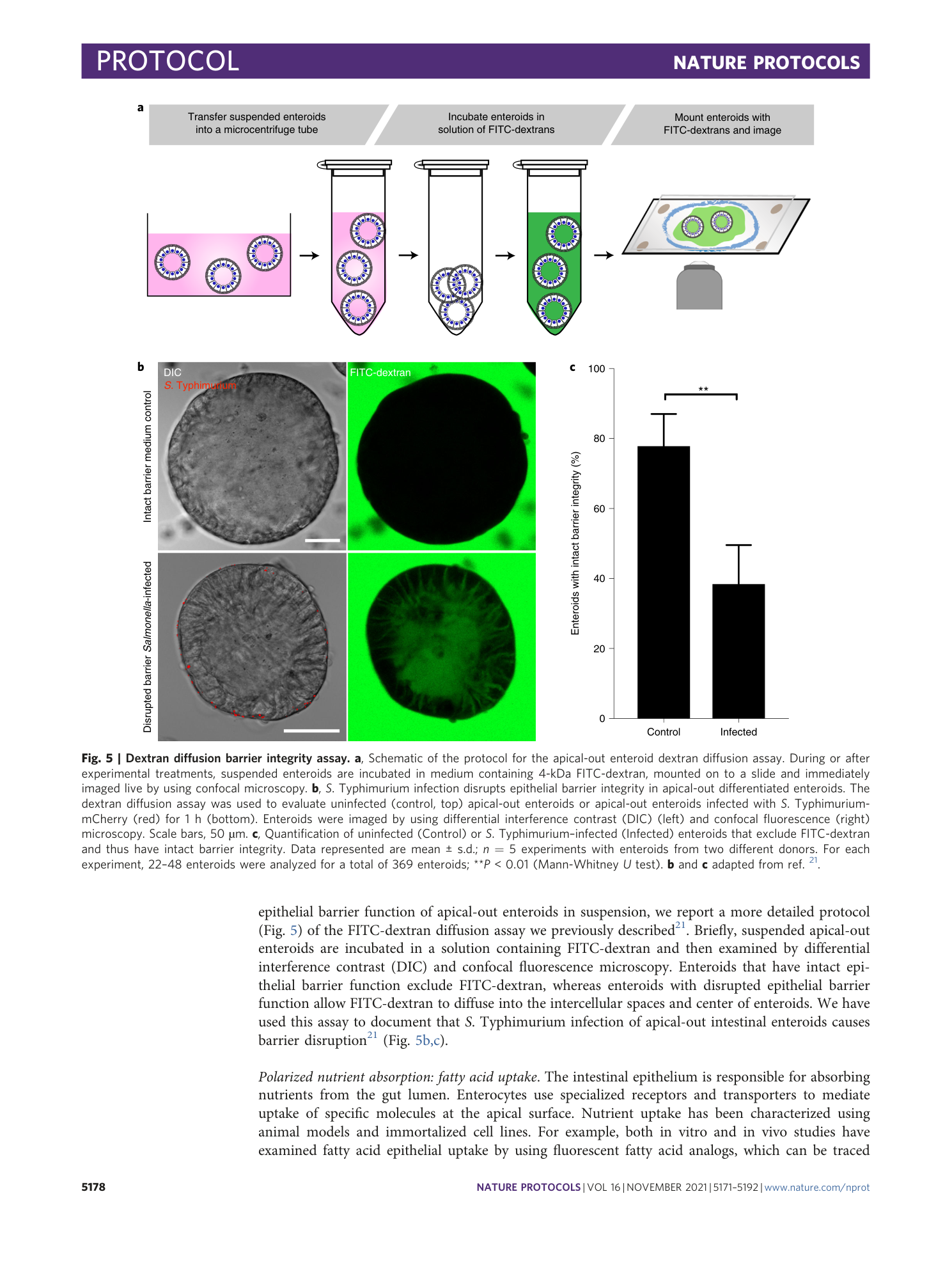 page-8