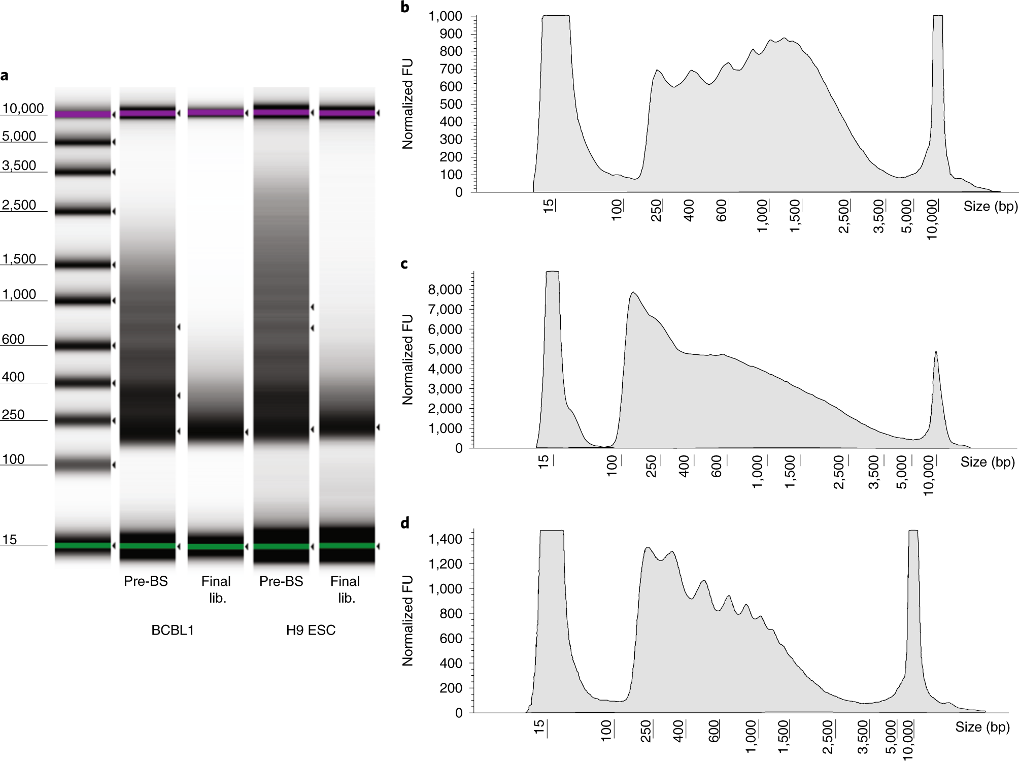 Fig. 2: Fragment distribution at quality check steps.