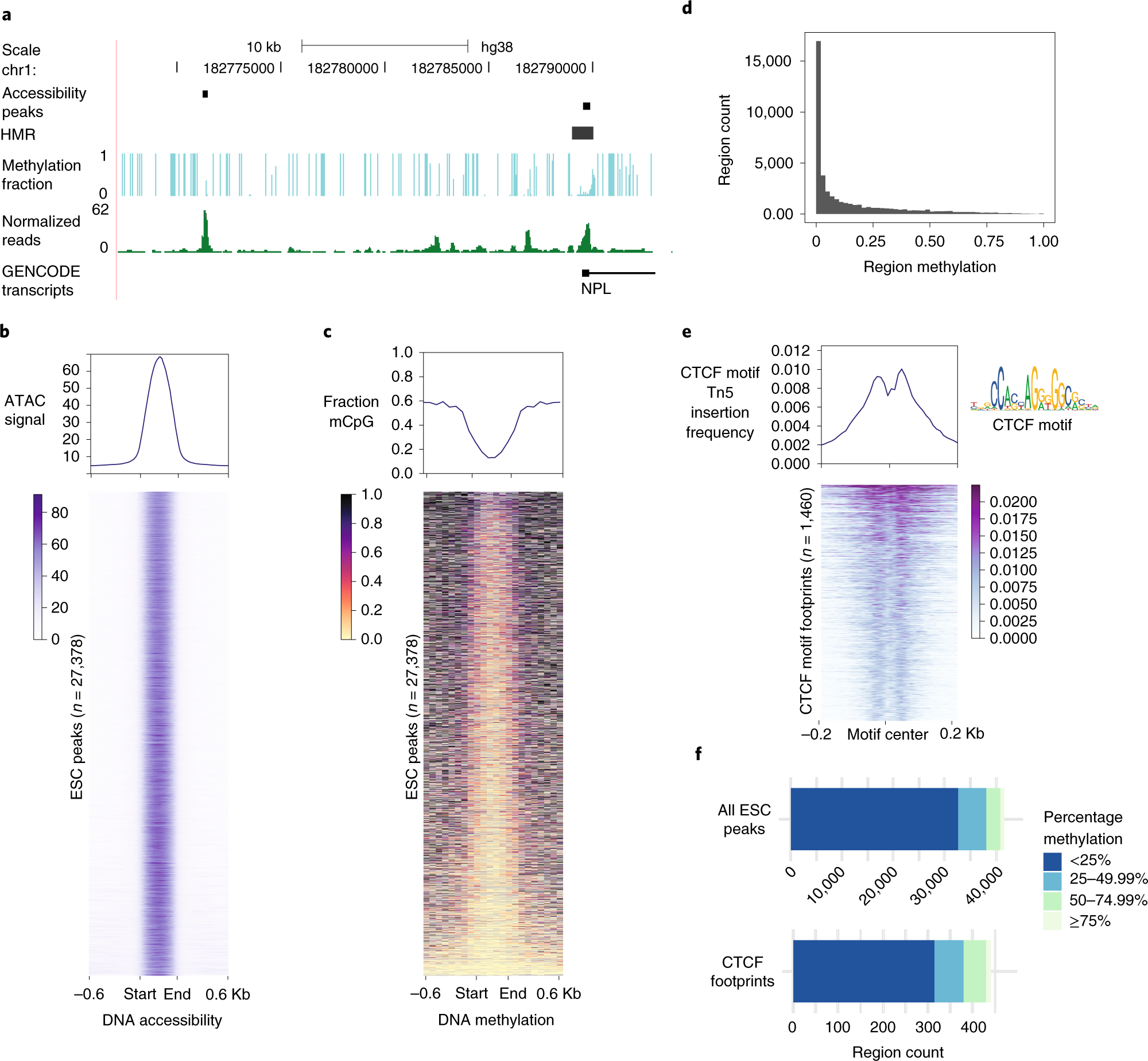 Fig. 5: Anticipated results and ATAC-Me data visualization.