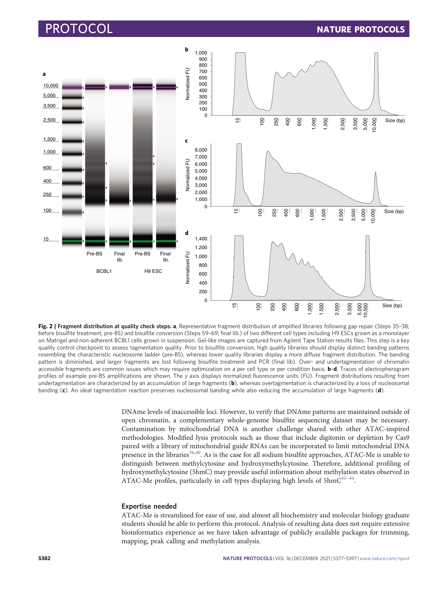 page-6