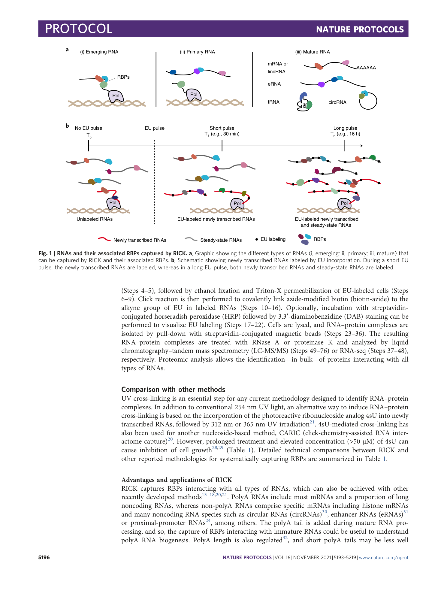 page-4