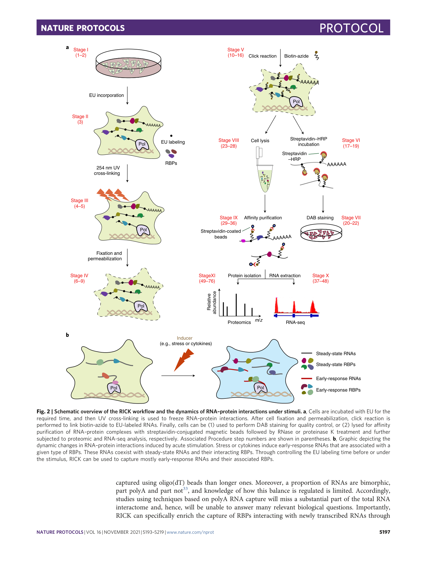 page-5