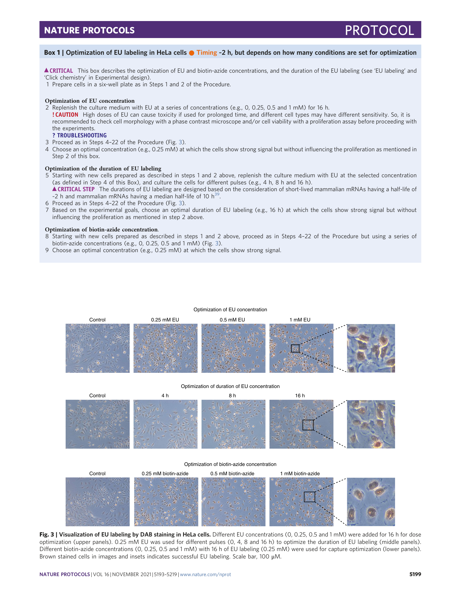 page-7