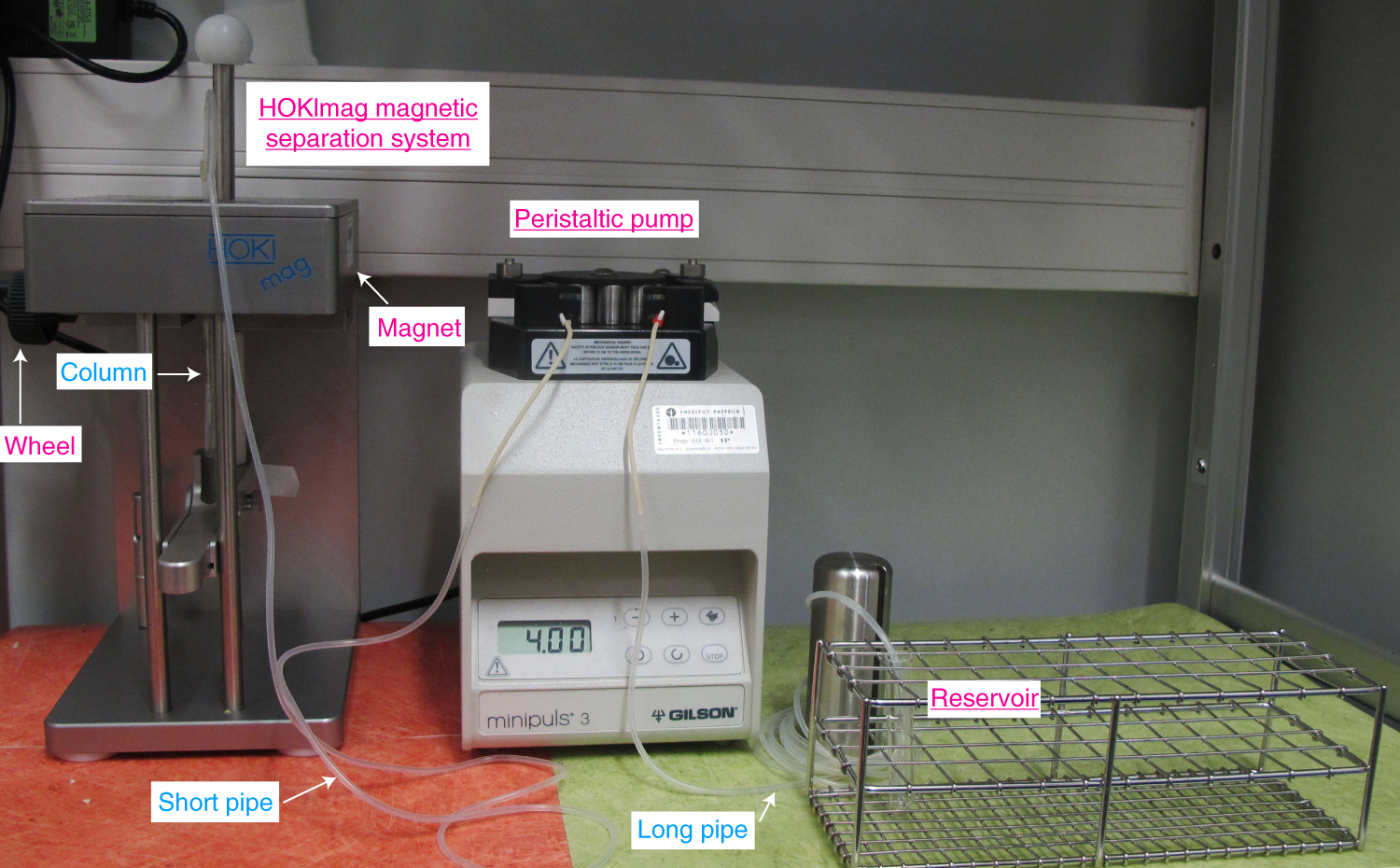 Fig. 3: Overview of the HOKImag magnetic separation system for the purification of macropinosomes.