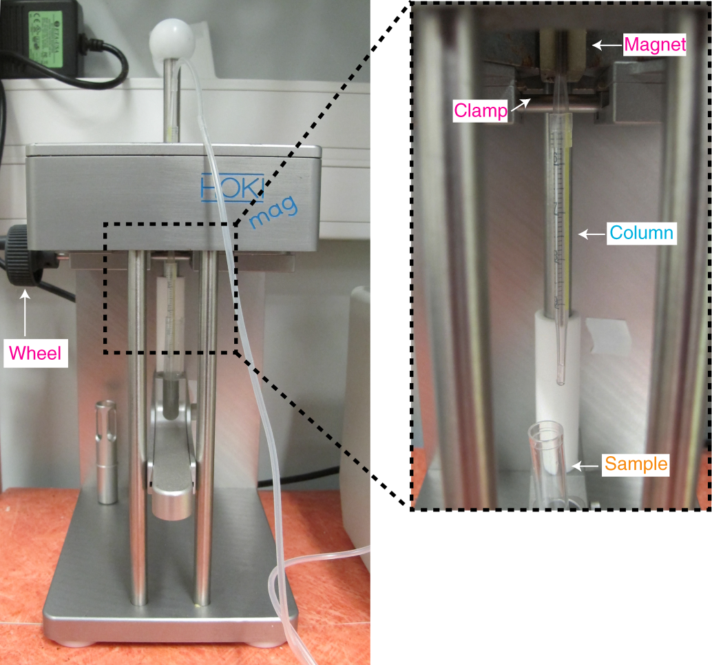 Fig. 4: Zoom-in of the HOKImag system for the magnetic purification of macropinosomes.