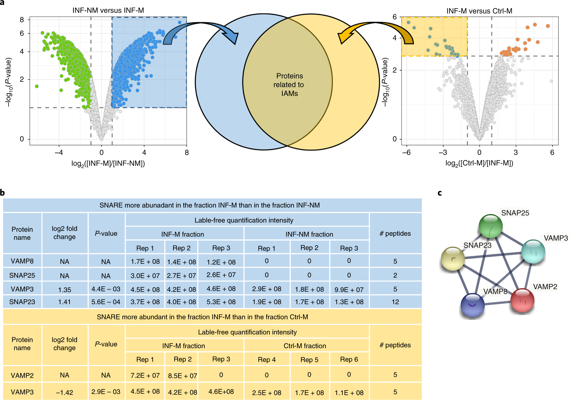 Fig. 7: Expected results from mass spectrometric analysis.