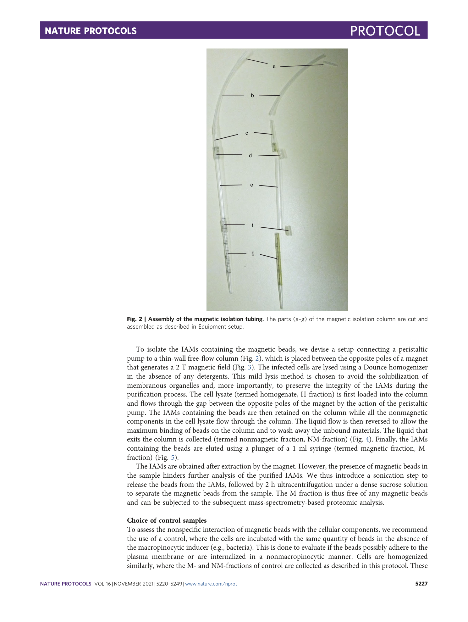 page-8