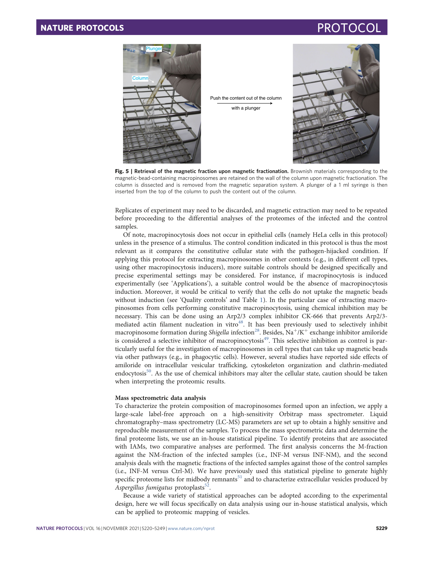 page-10