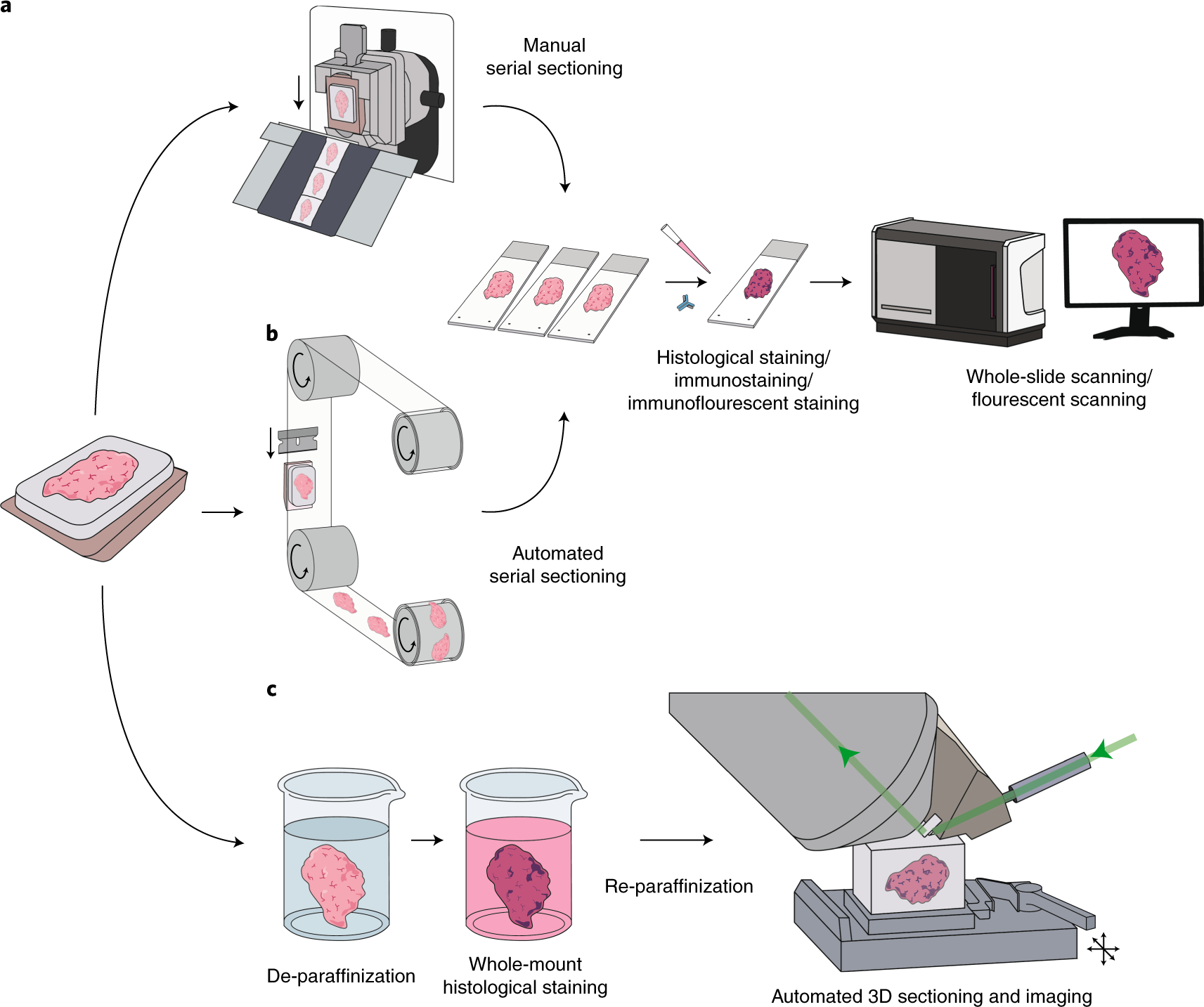 Fig. 1: Serial 3D visualization techniques for archival tissue and their key features.