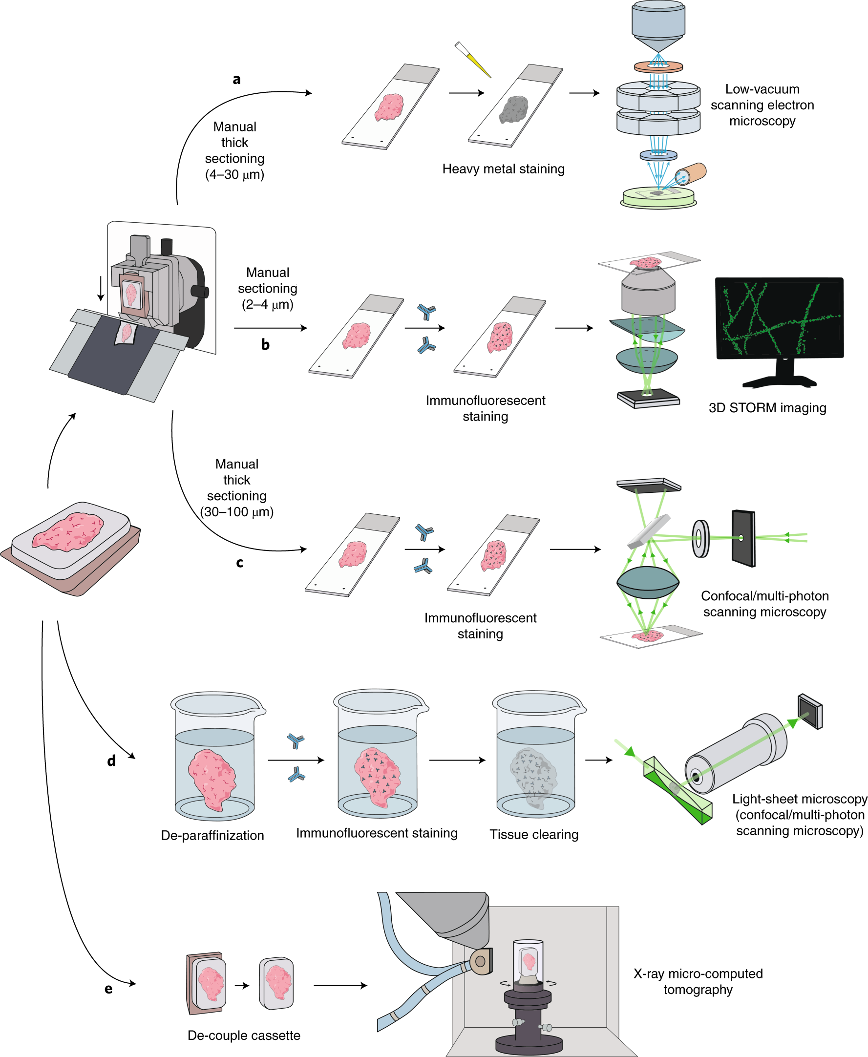 Fig. 4: Nonserial 3D visualization techniques for archival tissue and their key features.