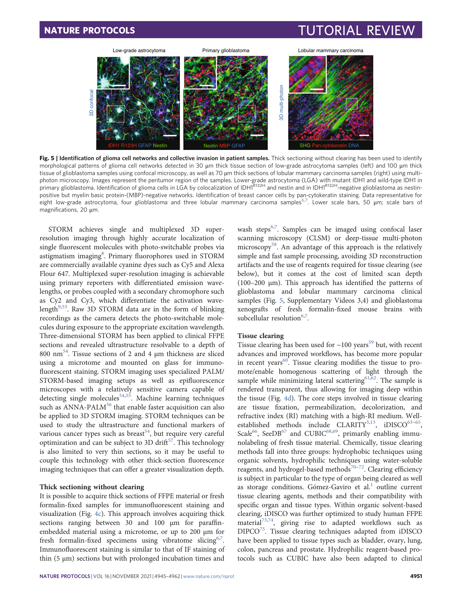 page-7