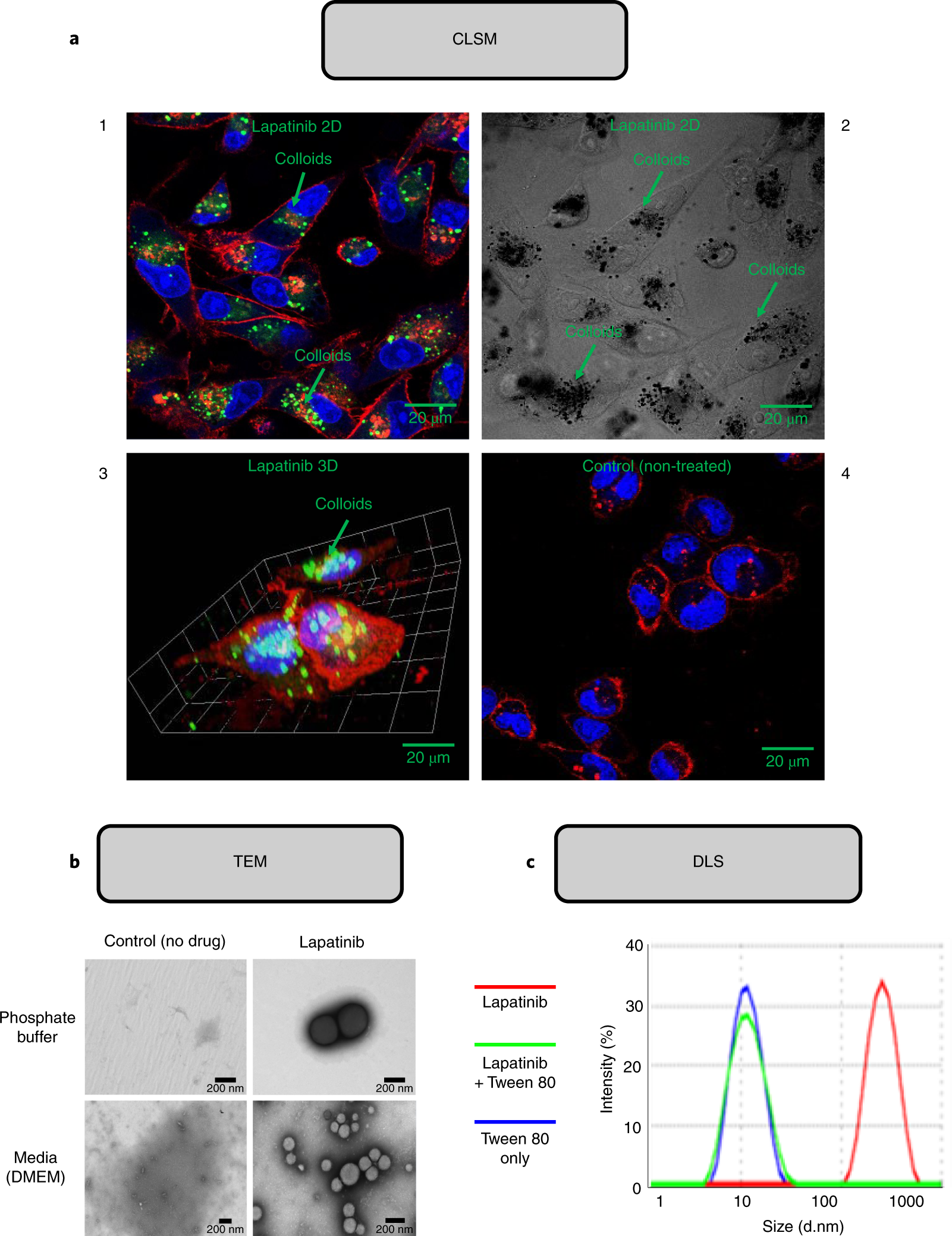 Fig. 10: Probing the solution behavior of lapatinib by using orthogonal techniques.