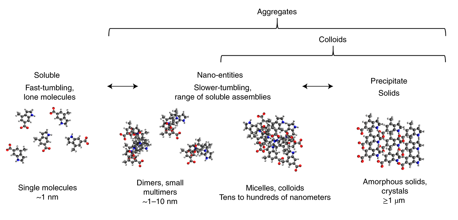 Fig. 1: Drugs exist in unique multi-phase equilibria in solution.