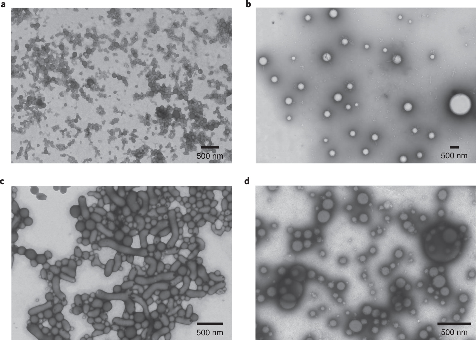 Fig. 2: The presence of large drug colloidal aggregates can be visualized by TEM.