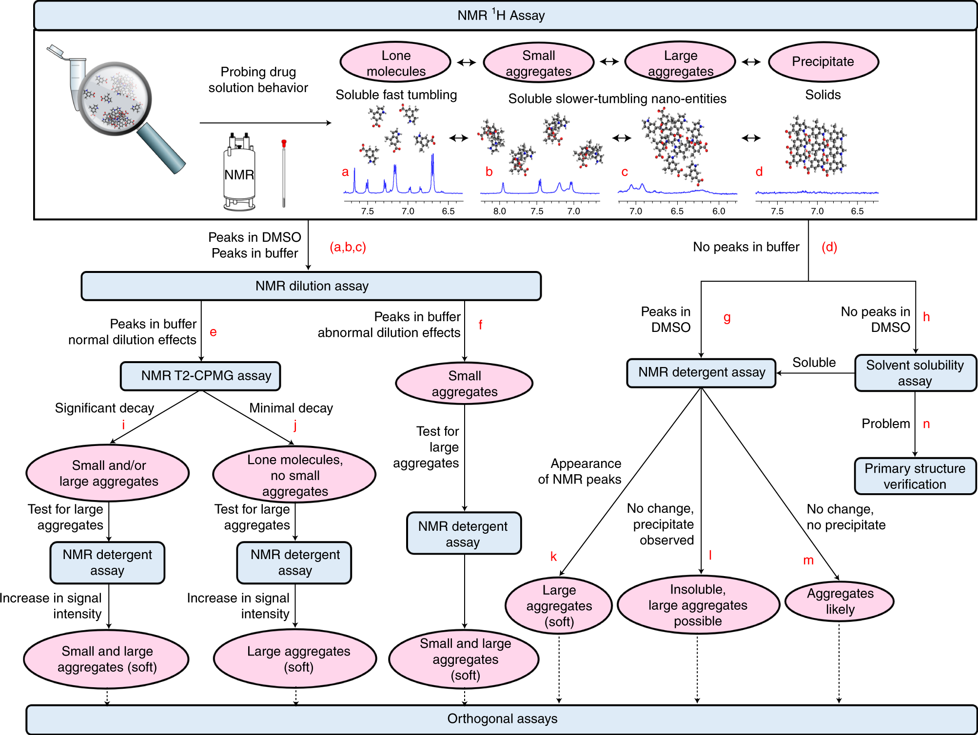 Fig. 3: Overview of the protocol to probe drug solution behavior.