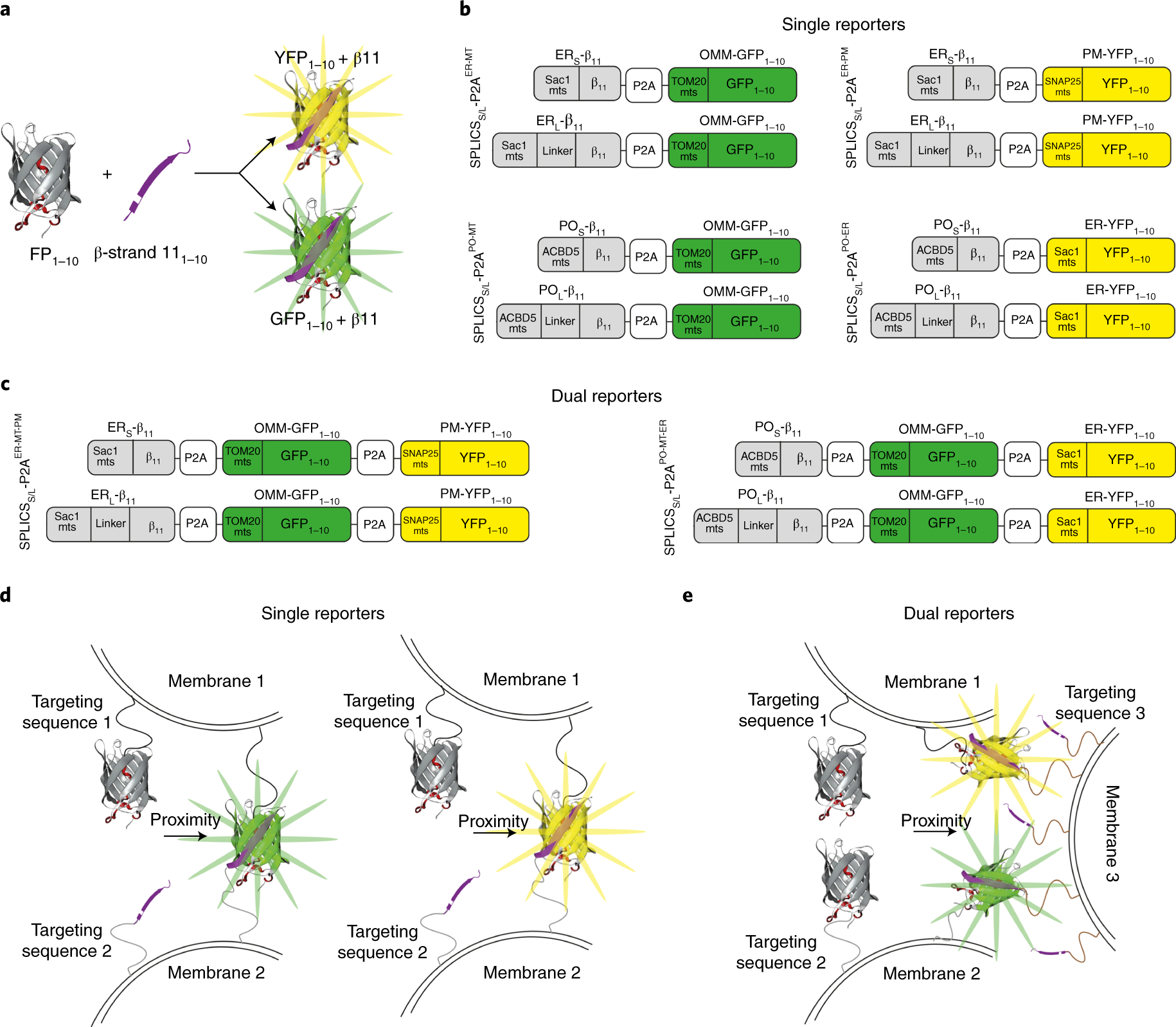 Fig. 1: Overview of the constructs.