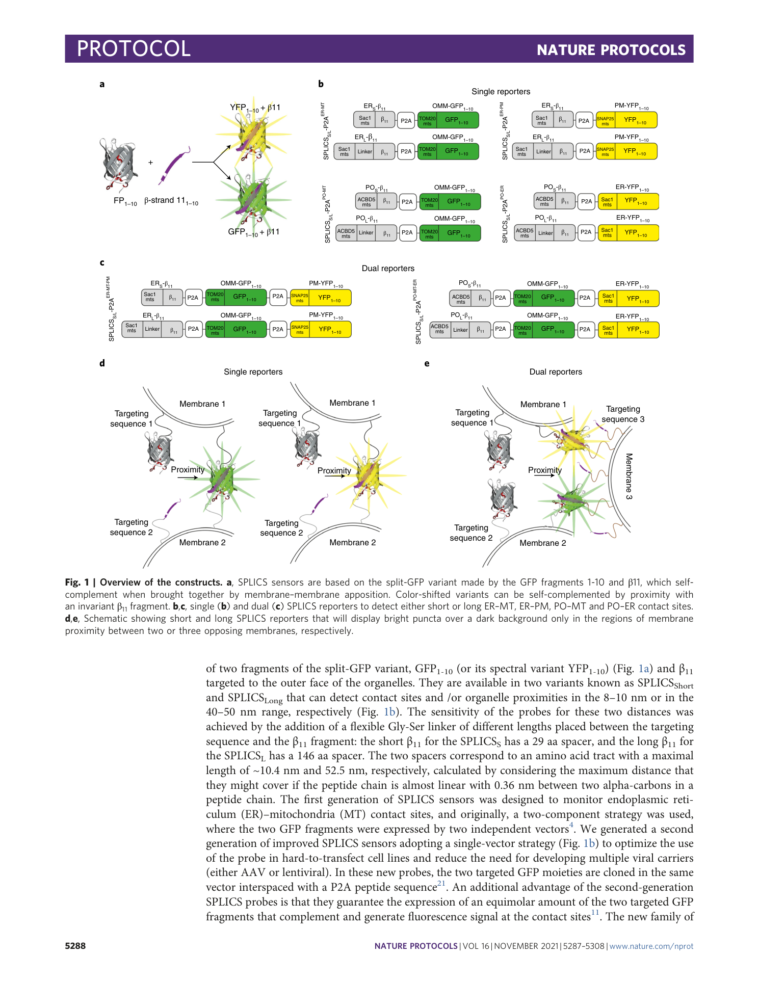 page-2