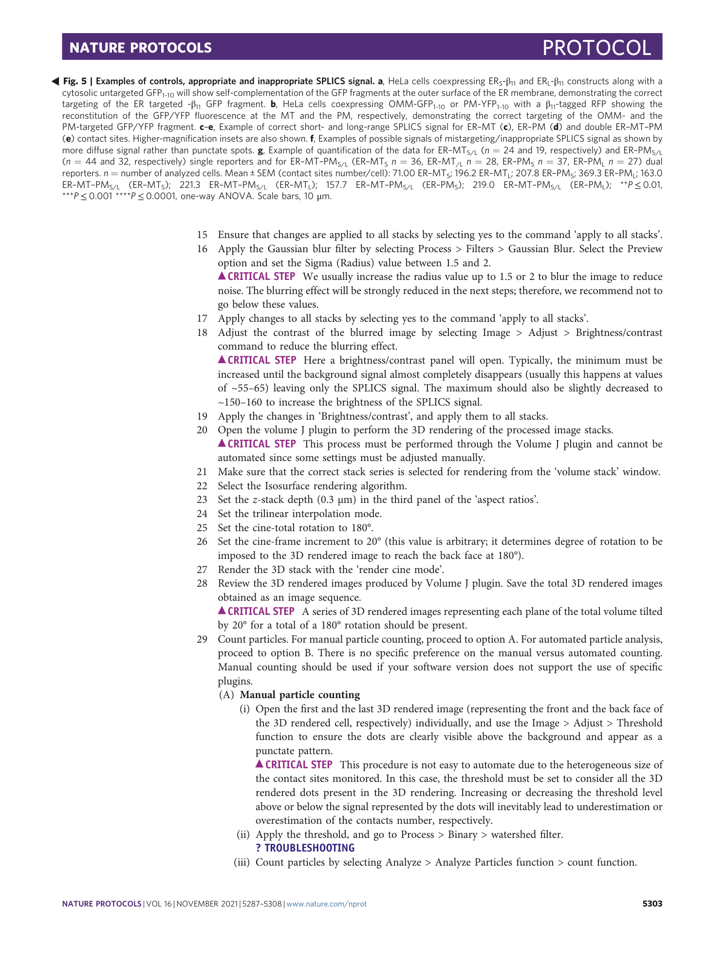 page-17