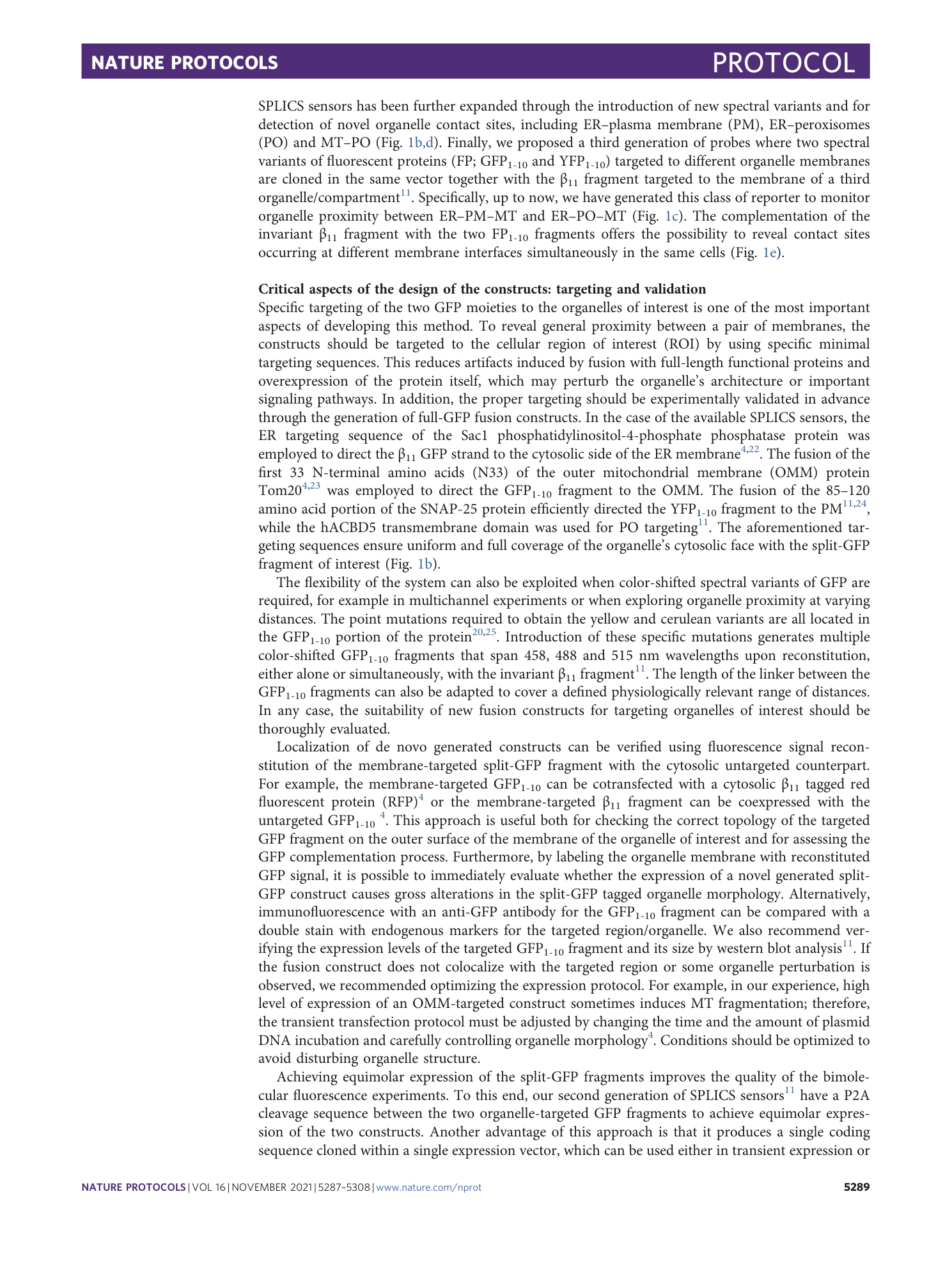 page-3