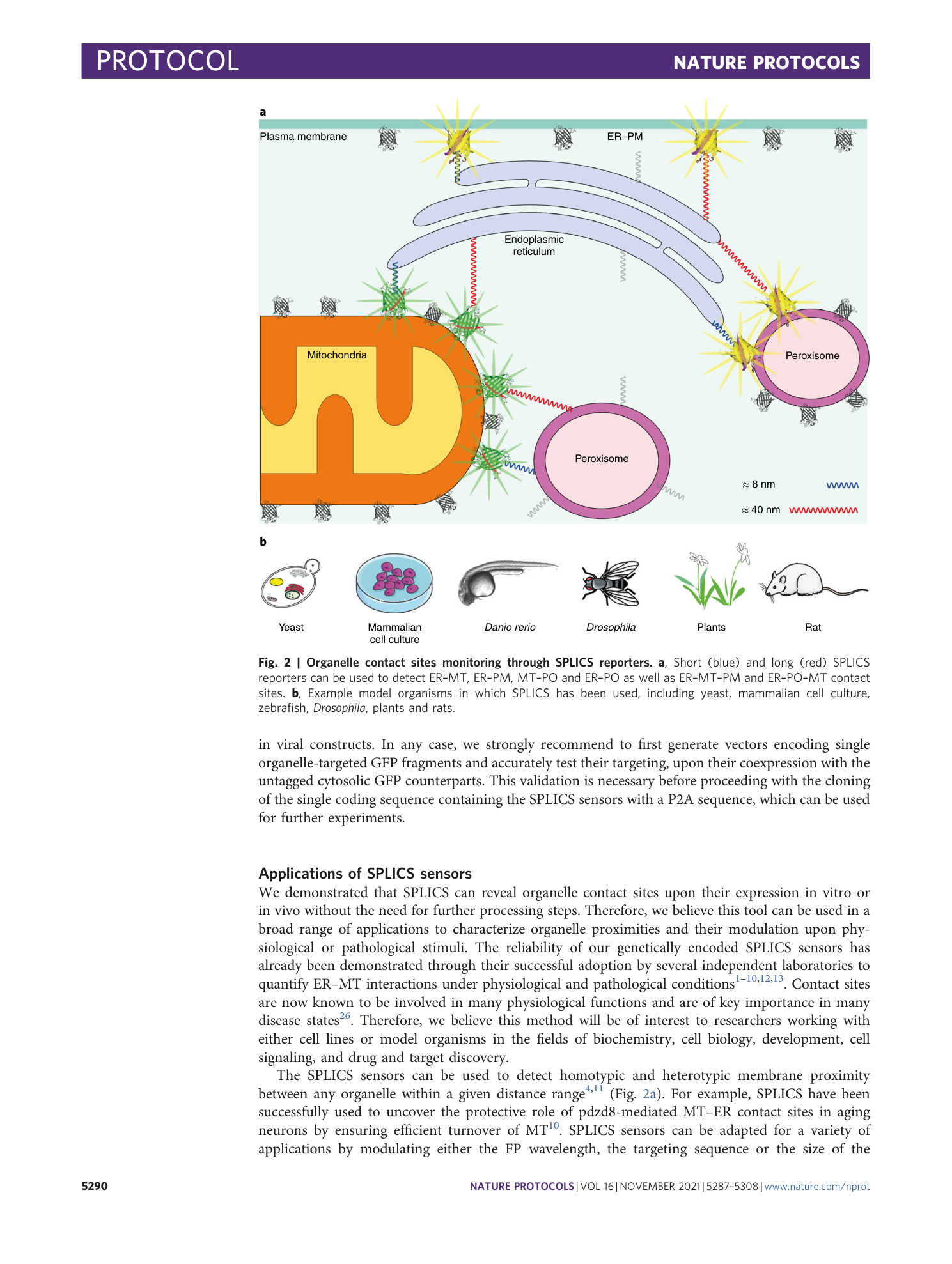 page-4
