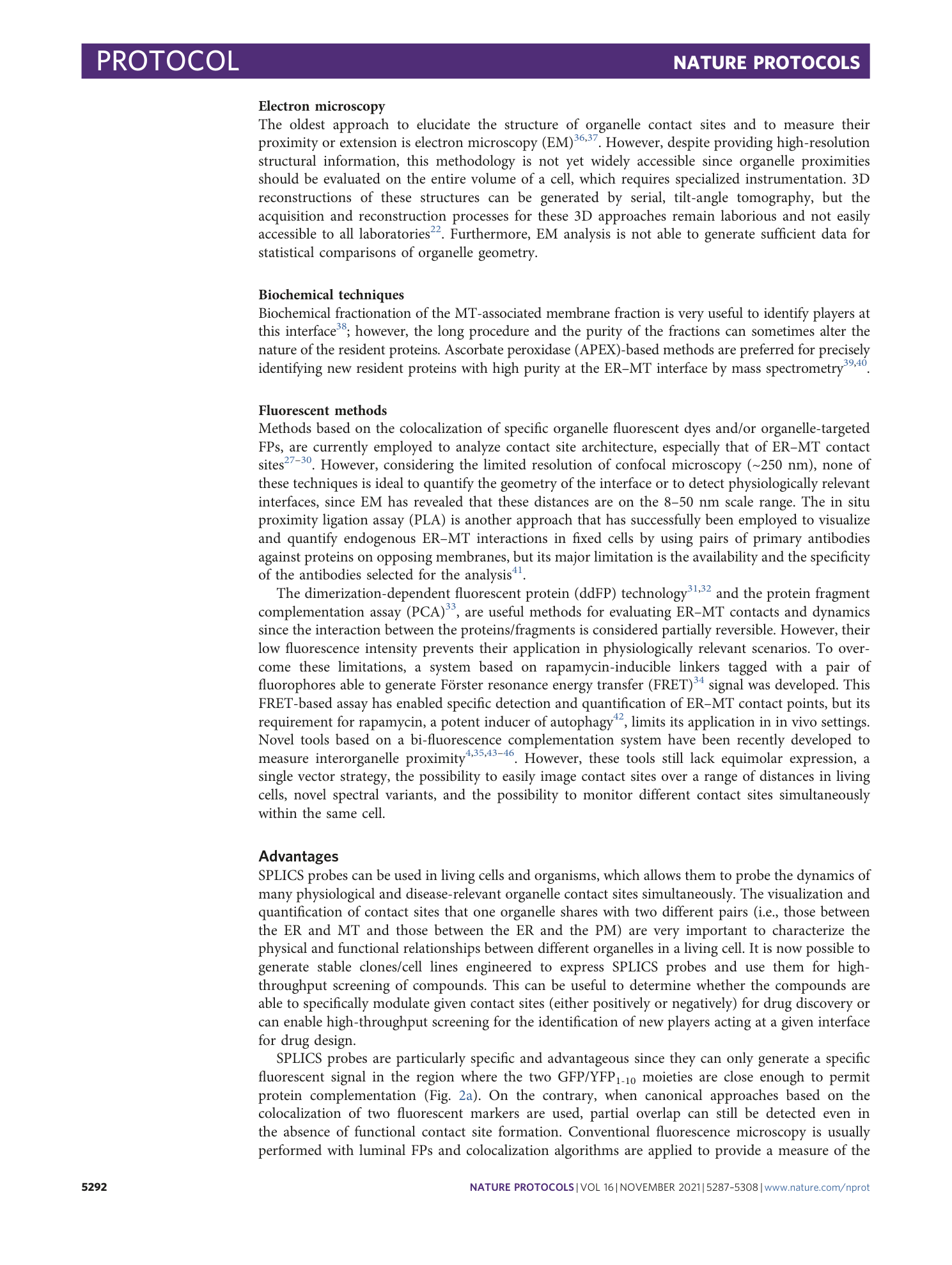 page-6