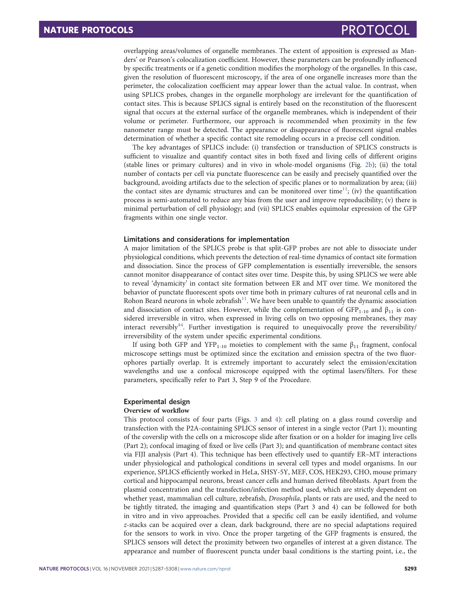 page-7