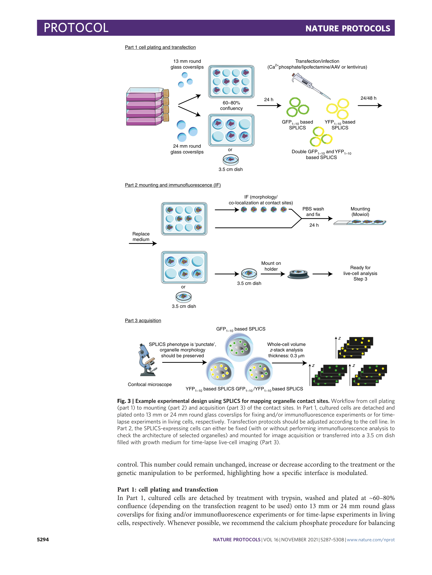 page-8