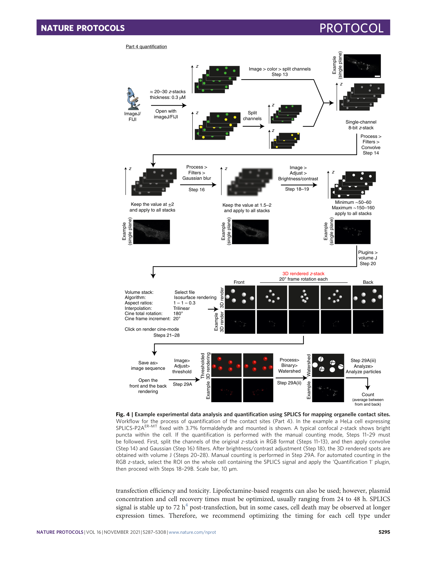 page-9
