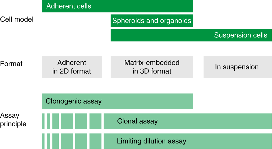 Fig. 1: Overview on the different assay formats and assay principles to determine clonogenic growth.