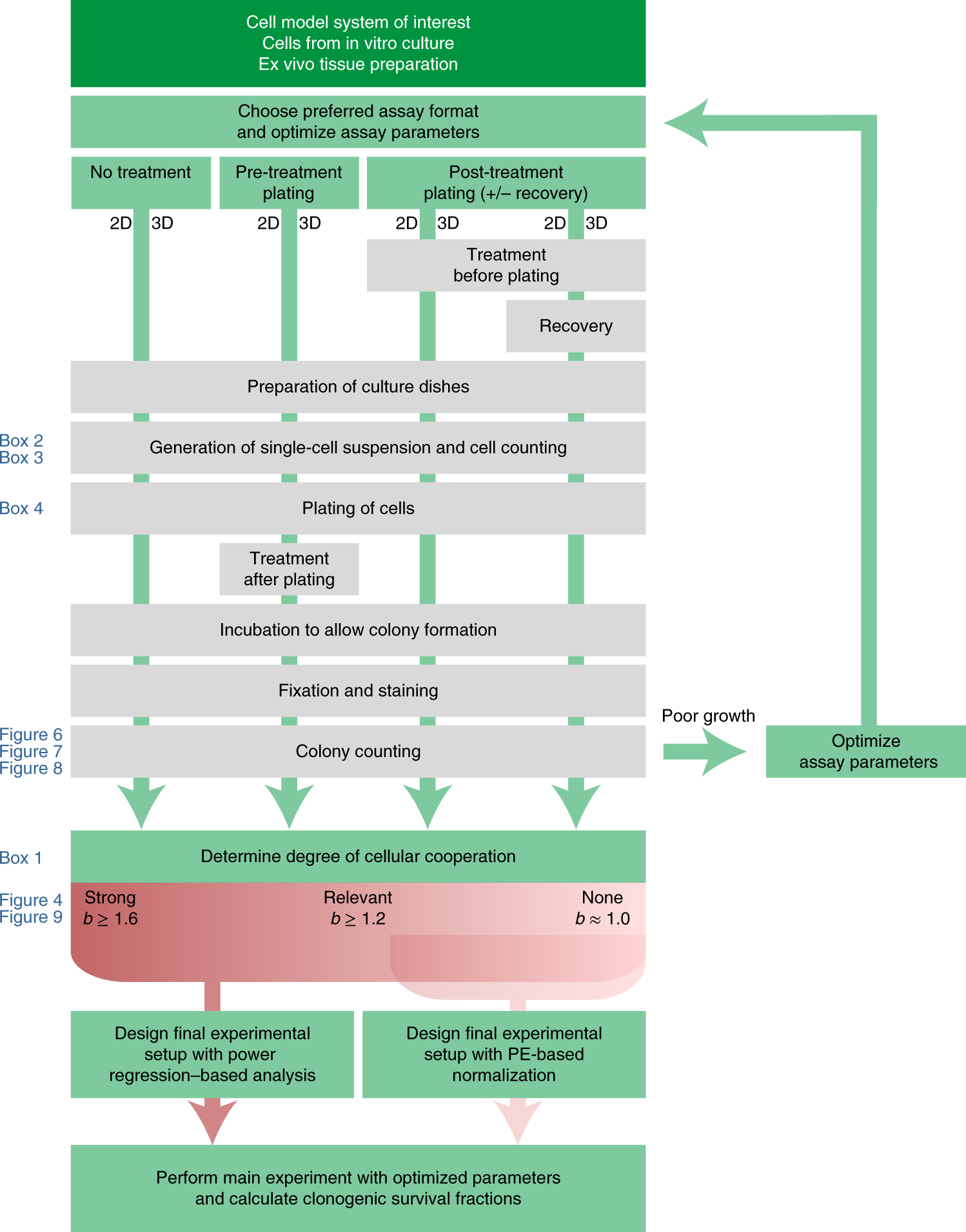 Fig. 3: Schematic overview of the different clonogenic assay procedures.