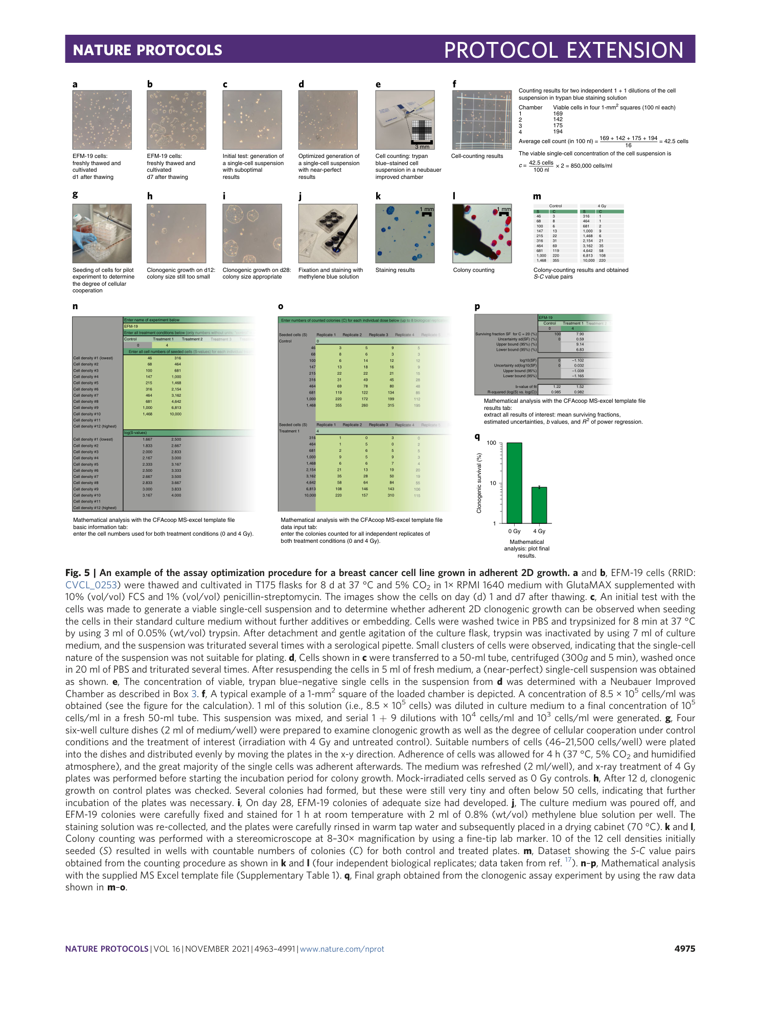 page-13