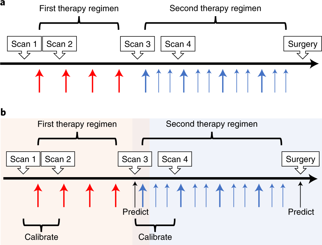 Fig. 2: Timeline of MRI acquisition with an example standard-of-care NAT regimen for triple-negative breast cancer consisting of two therapeutic regimens.