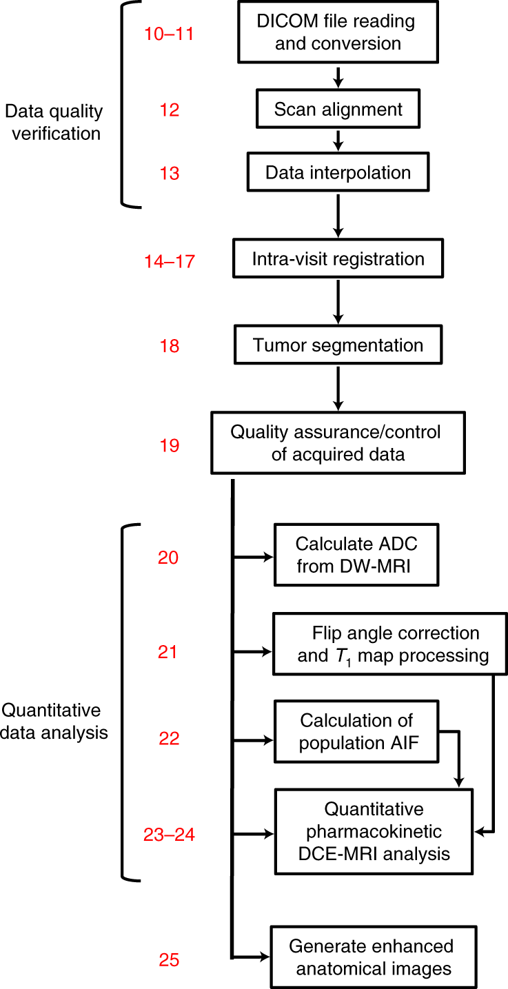 Fig. 5: Flowchart of the data analysis steps of the protocol.