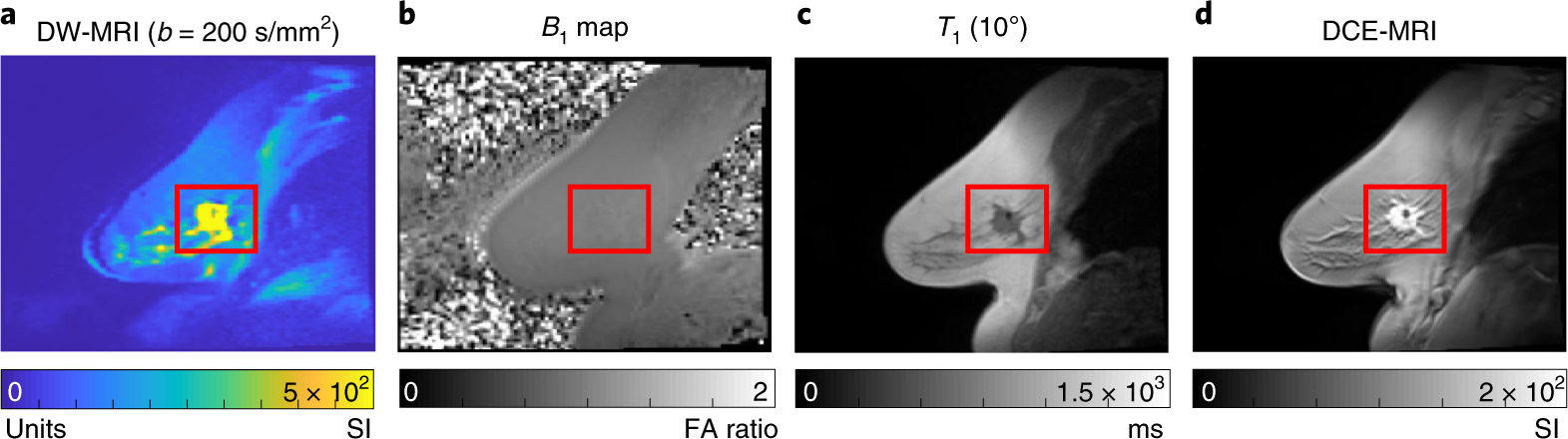 Fig. 6: Example image acquisition results.