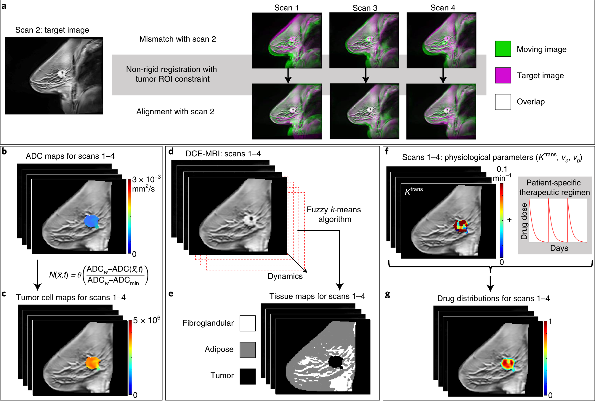 Fig. 8: Converting imaging data to physical quantities for the mathematical model.