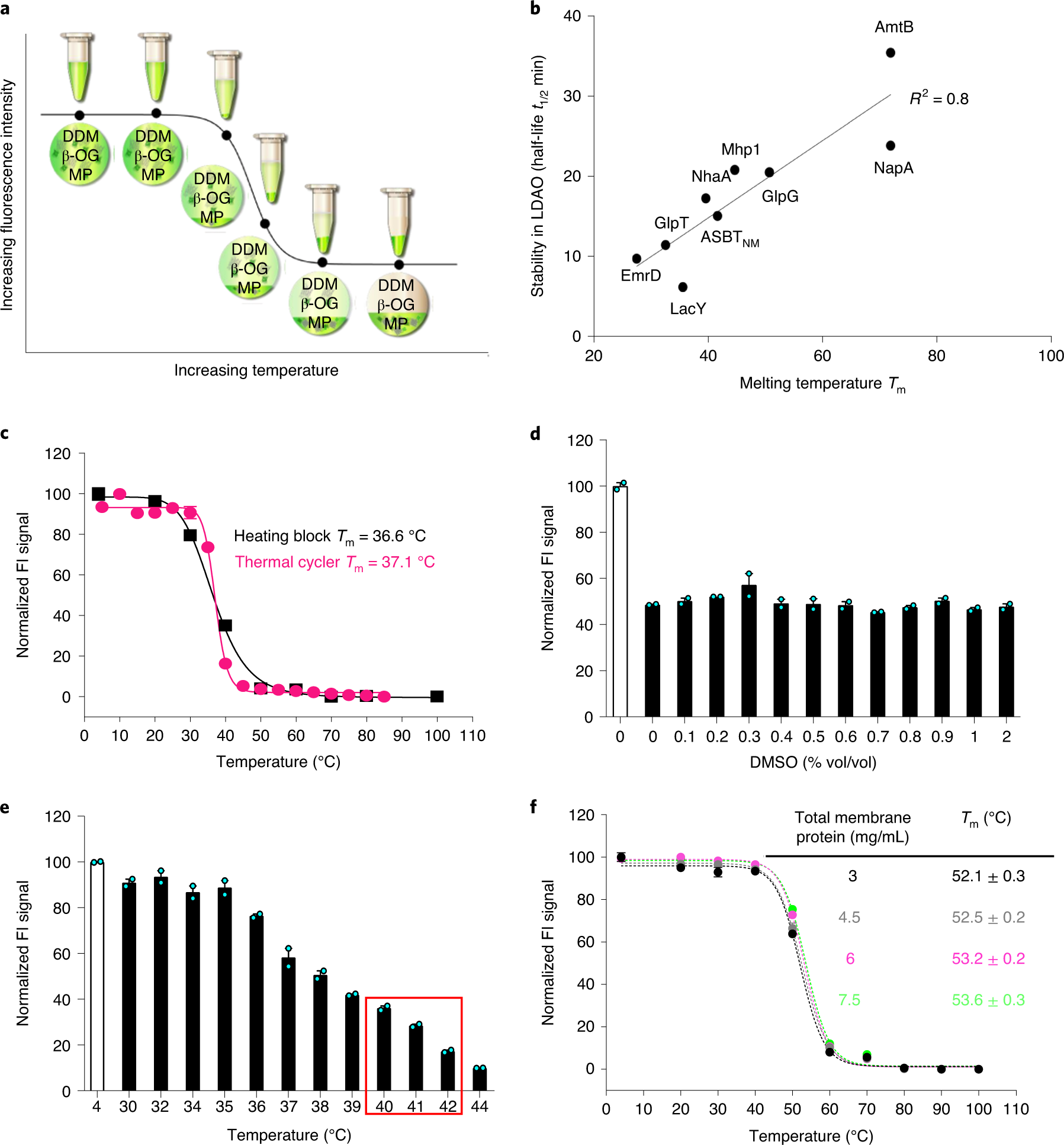 Fig. 3: Optimization of the GFP-TS assay.