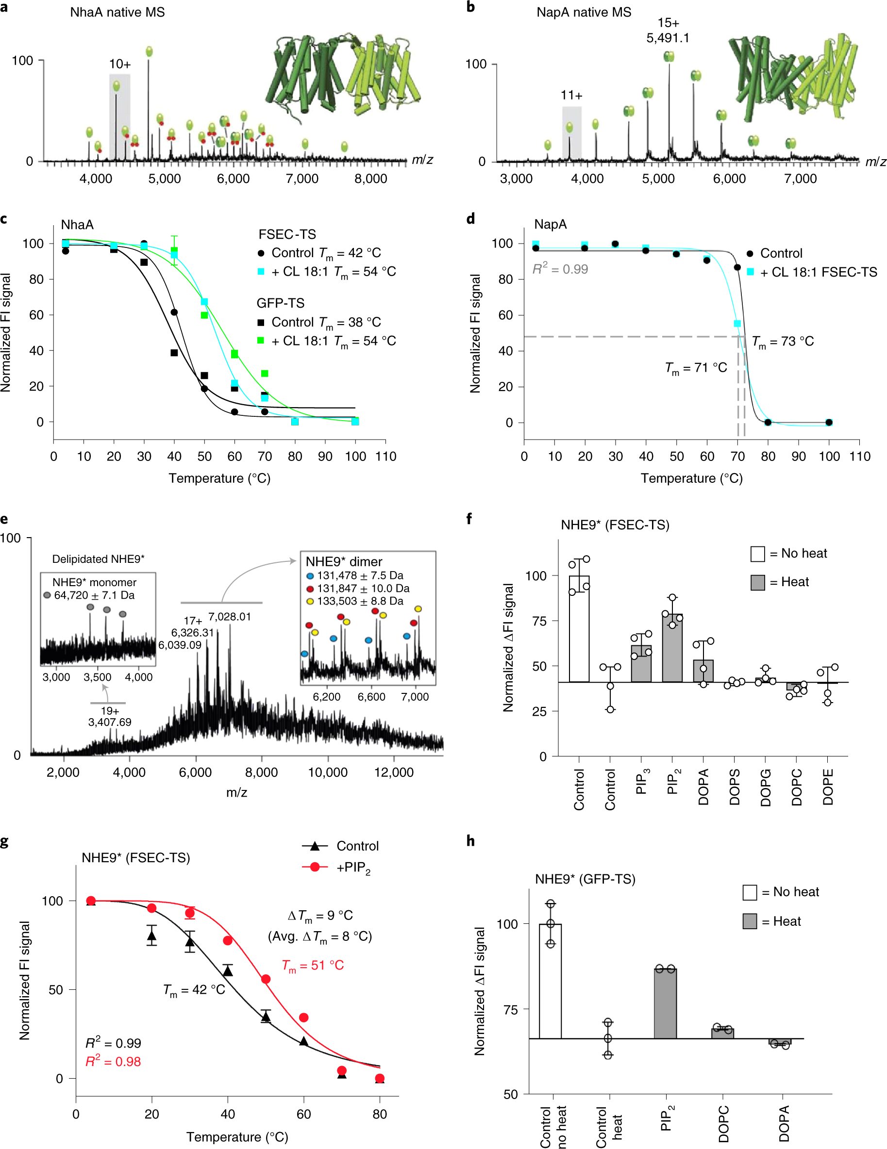 Fig. 6: Monitoring lipid–protein interactions with FSEC-TS and GFP-TS.