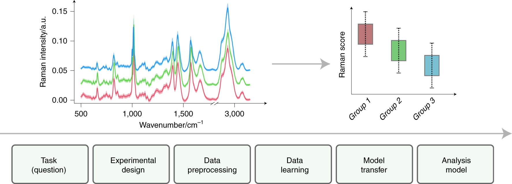 Fig. 1: Overview of the Raman spectroscopic analysis protocol.