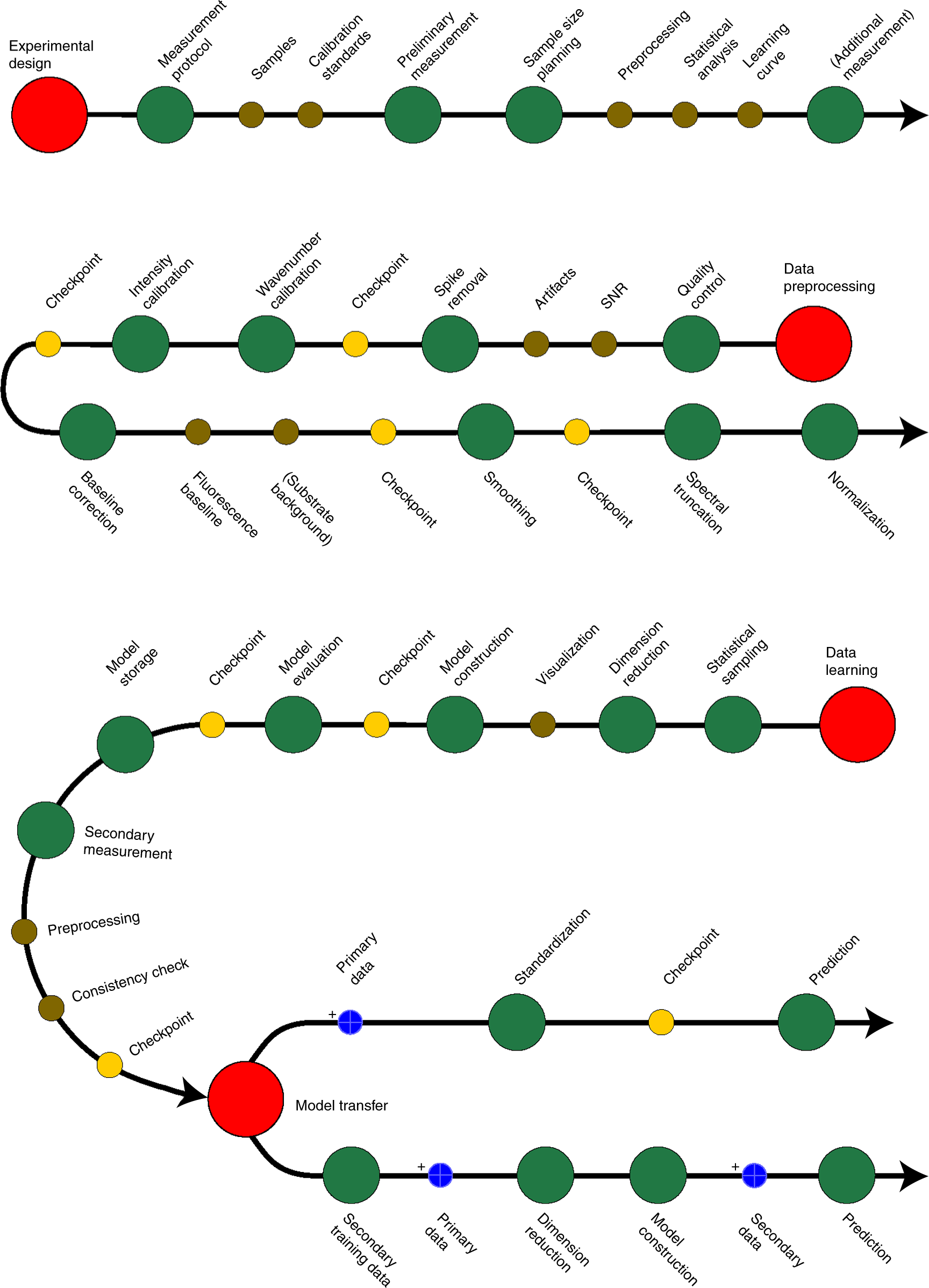 Fig. 2: Detailed overview of the Raman spectroscopic analysis protocol.