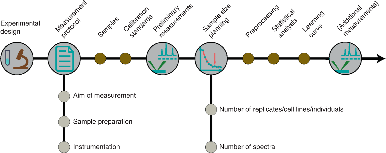 Fig. 3: Workflow of the experimental design.