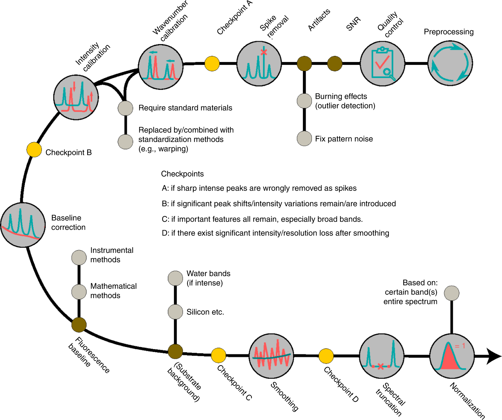 Fig. 4: Workflow of spectral preprocessing.