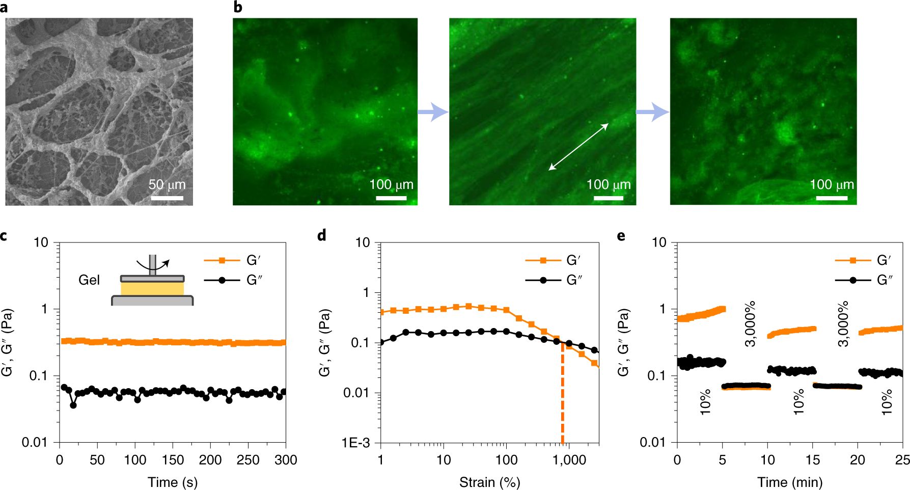 Fig. 8: Characterization of RCA-based hydrogels.