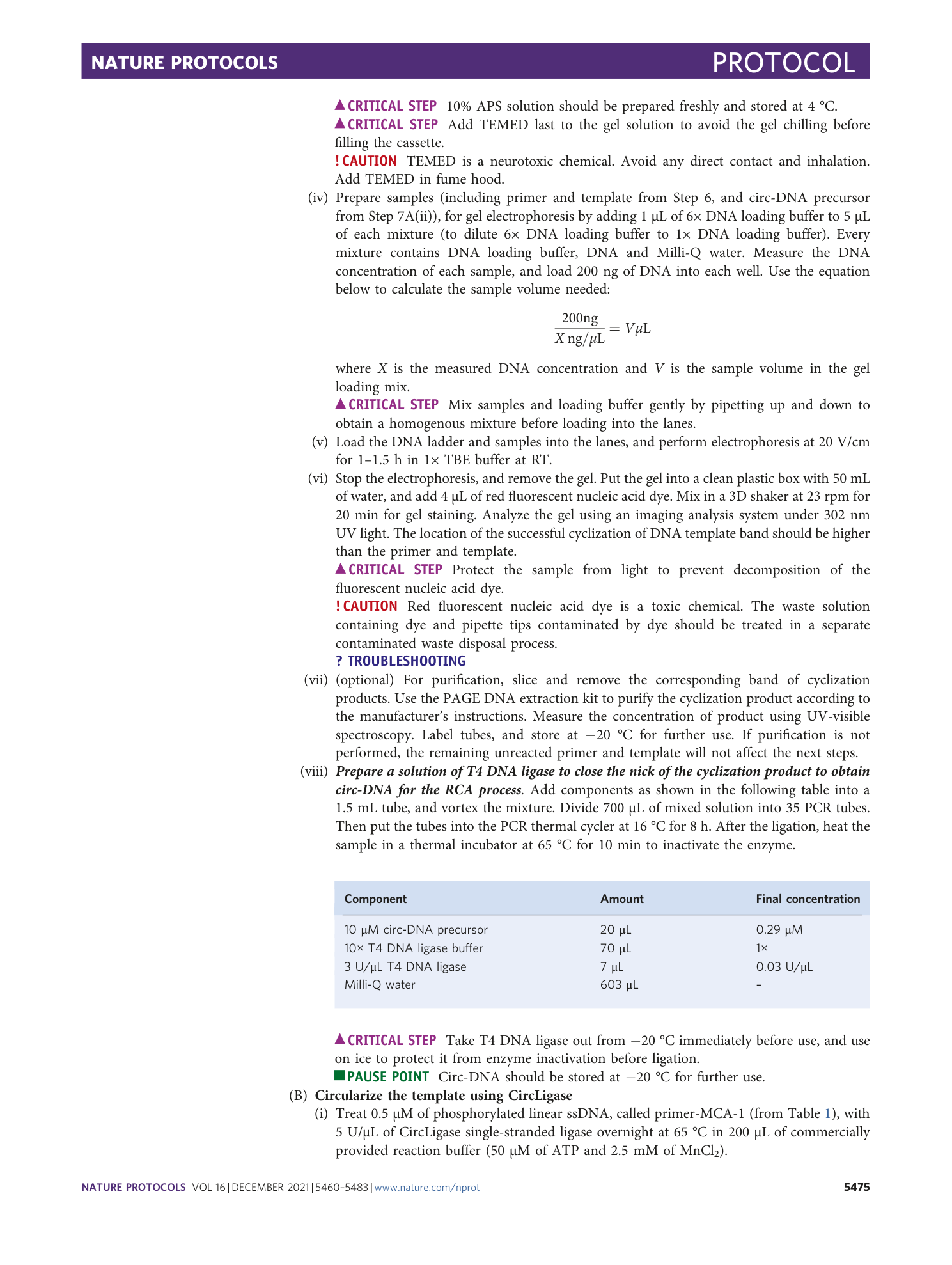 page-16