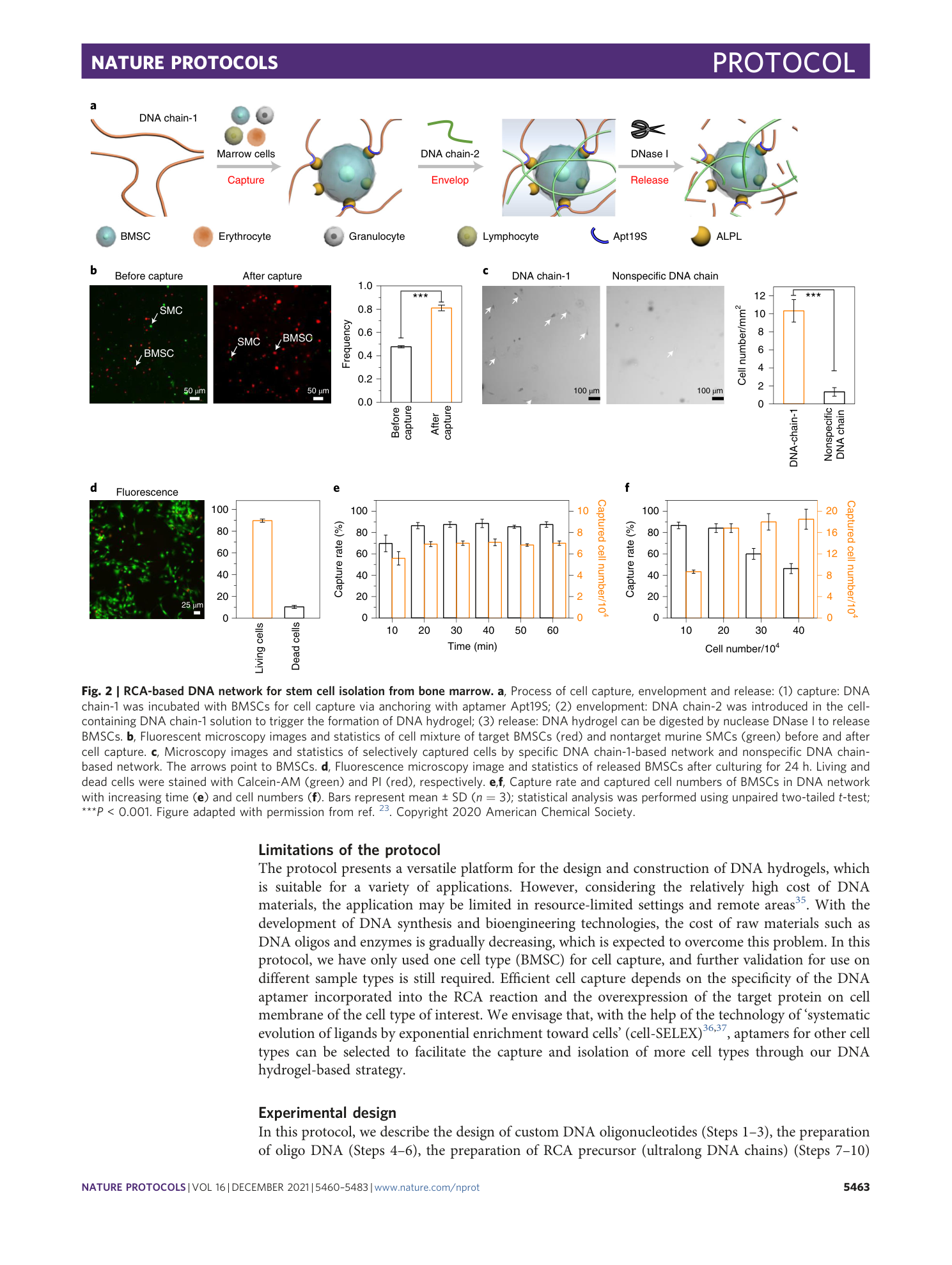 page-4