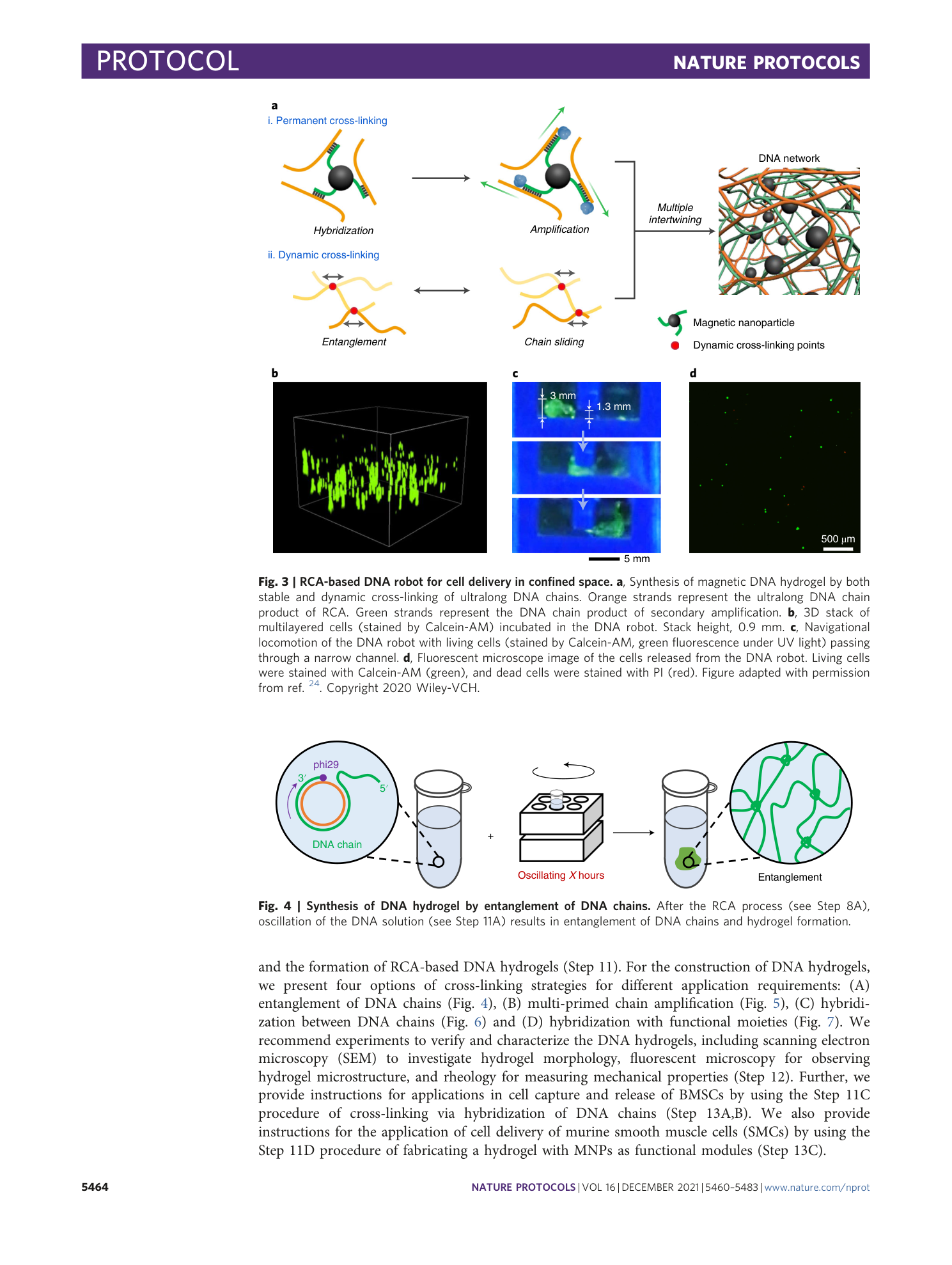 page-5