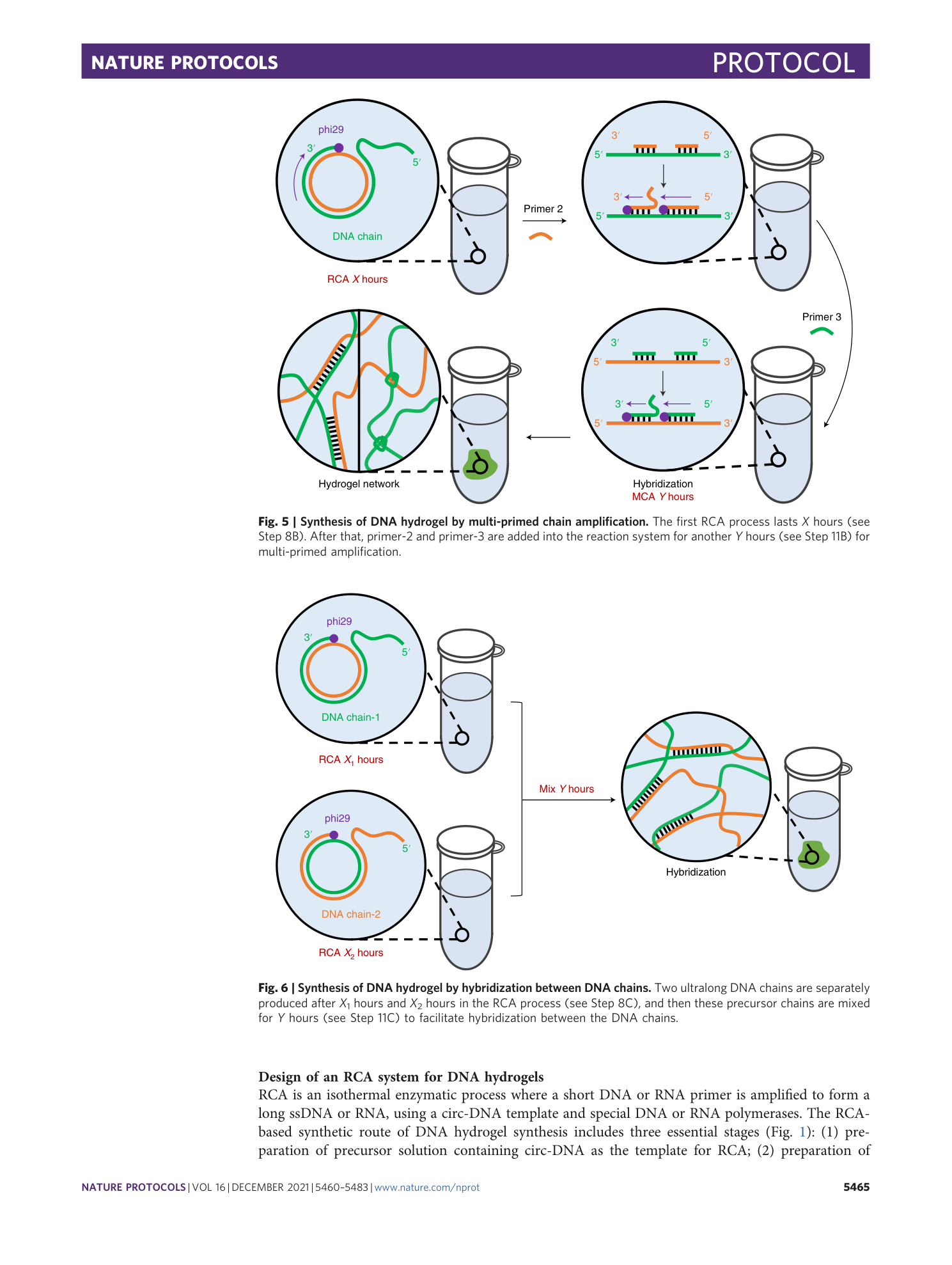 page-6