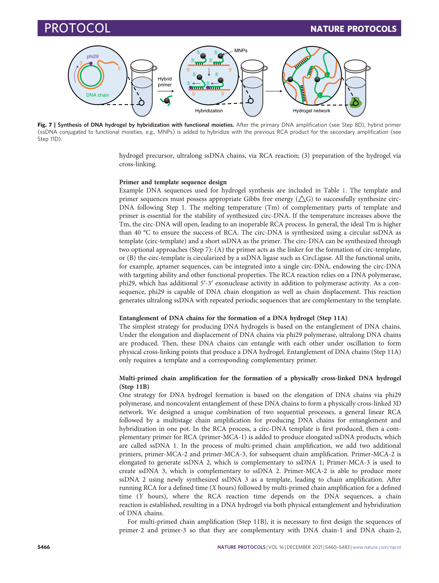 page-7