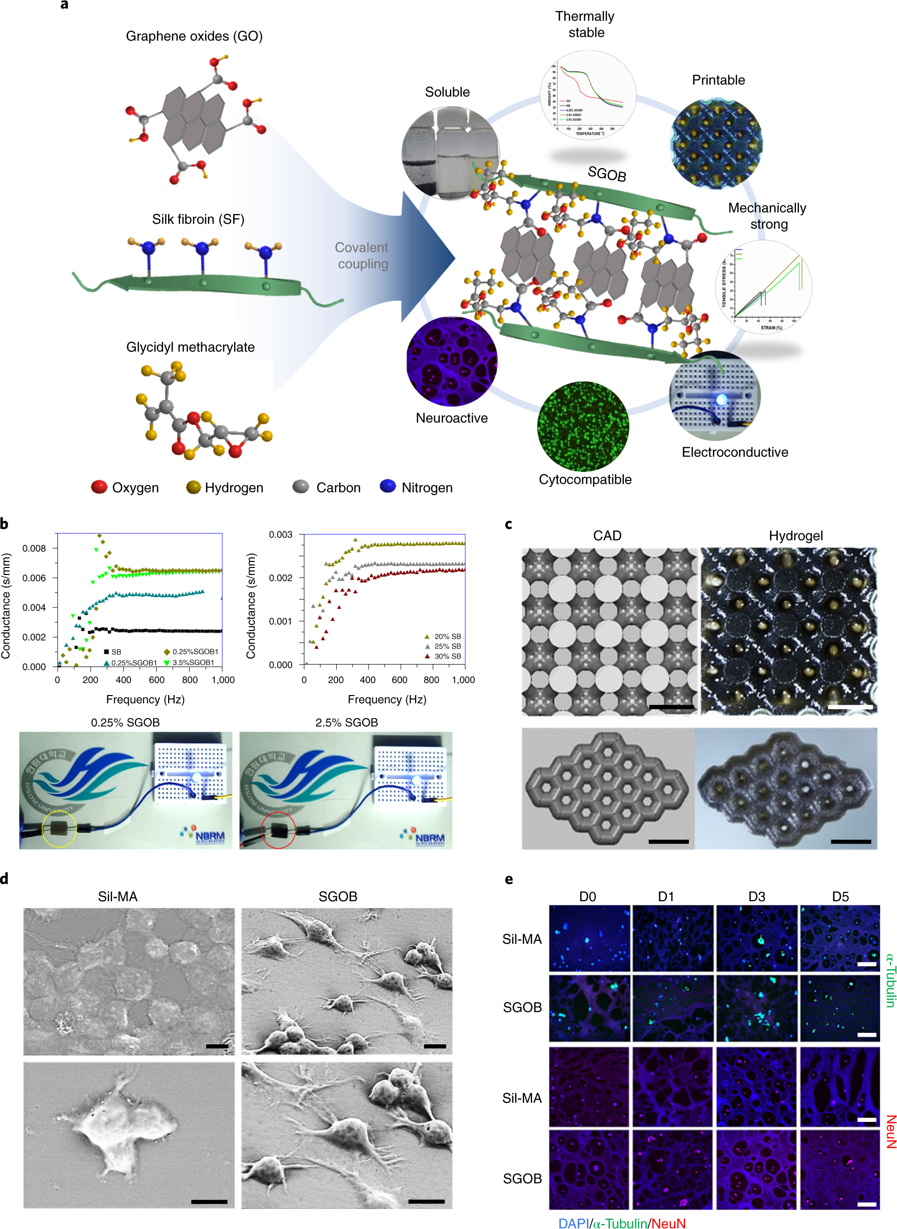 Fig. 6: Application of Sil-MA bioink as an electroconductive bioink for neurogenesis71.