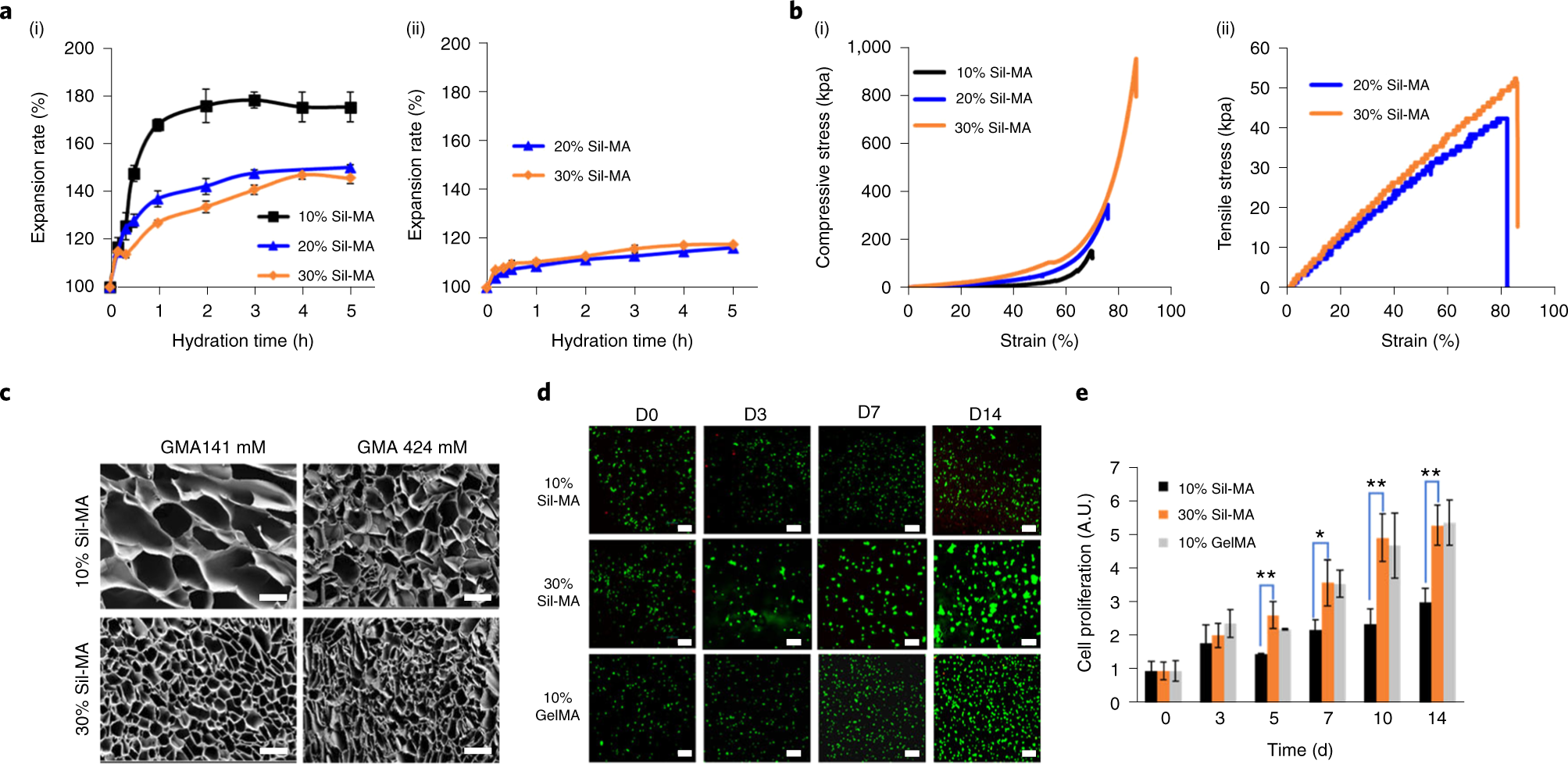 Fig. 8: Physical, morphological and biological characterization of Sil-MA hydrogel fabricated using DLP 3D printer17.