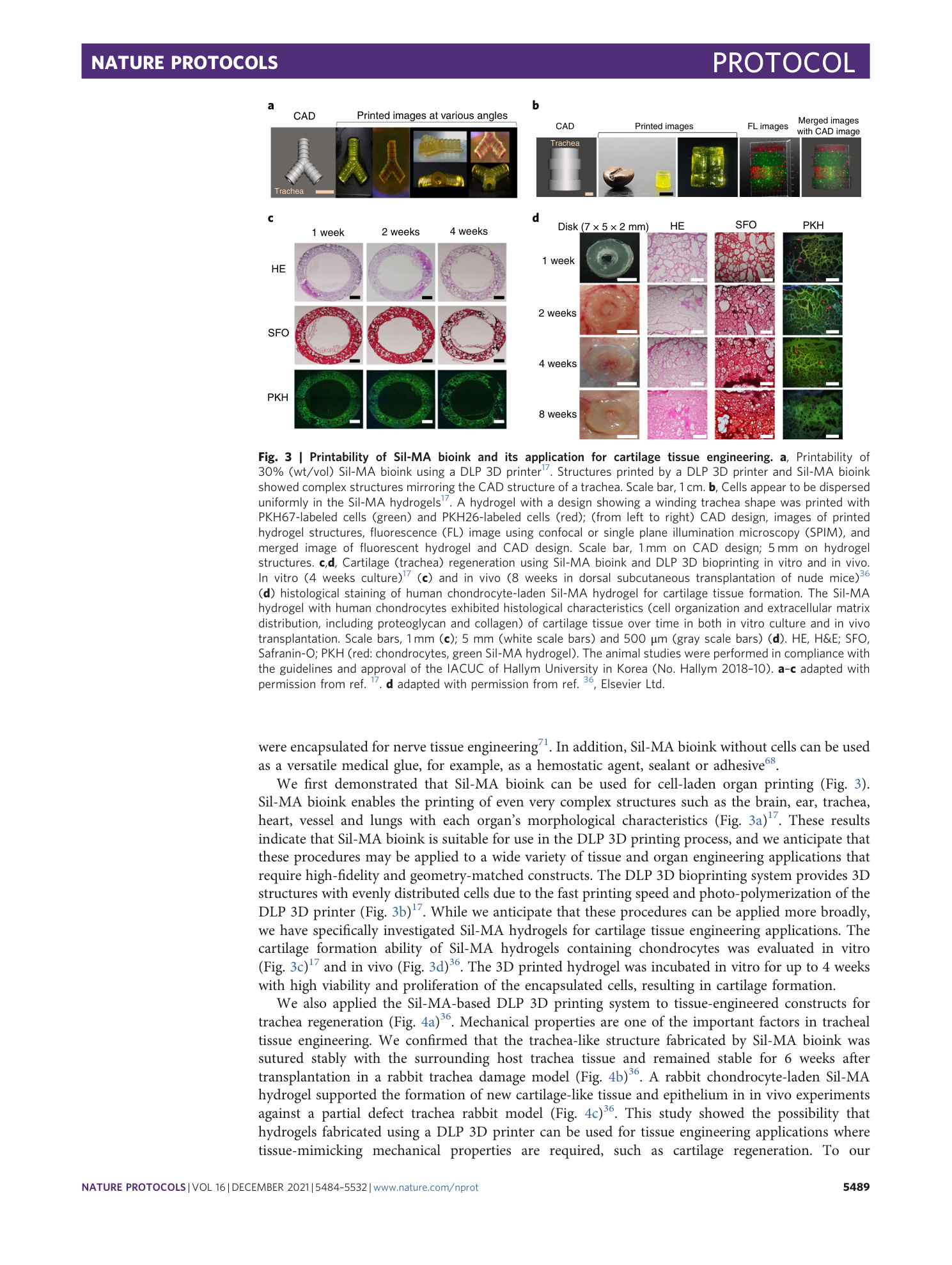 page-6